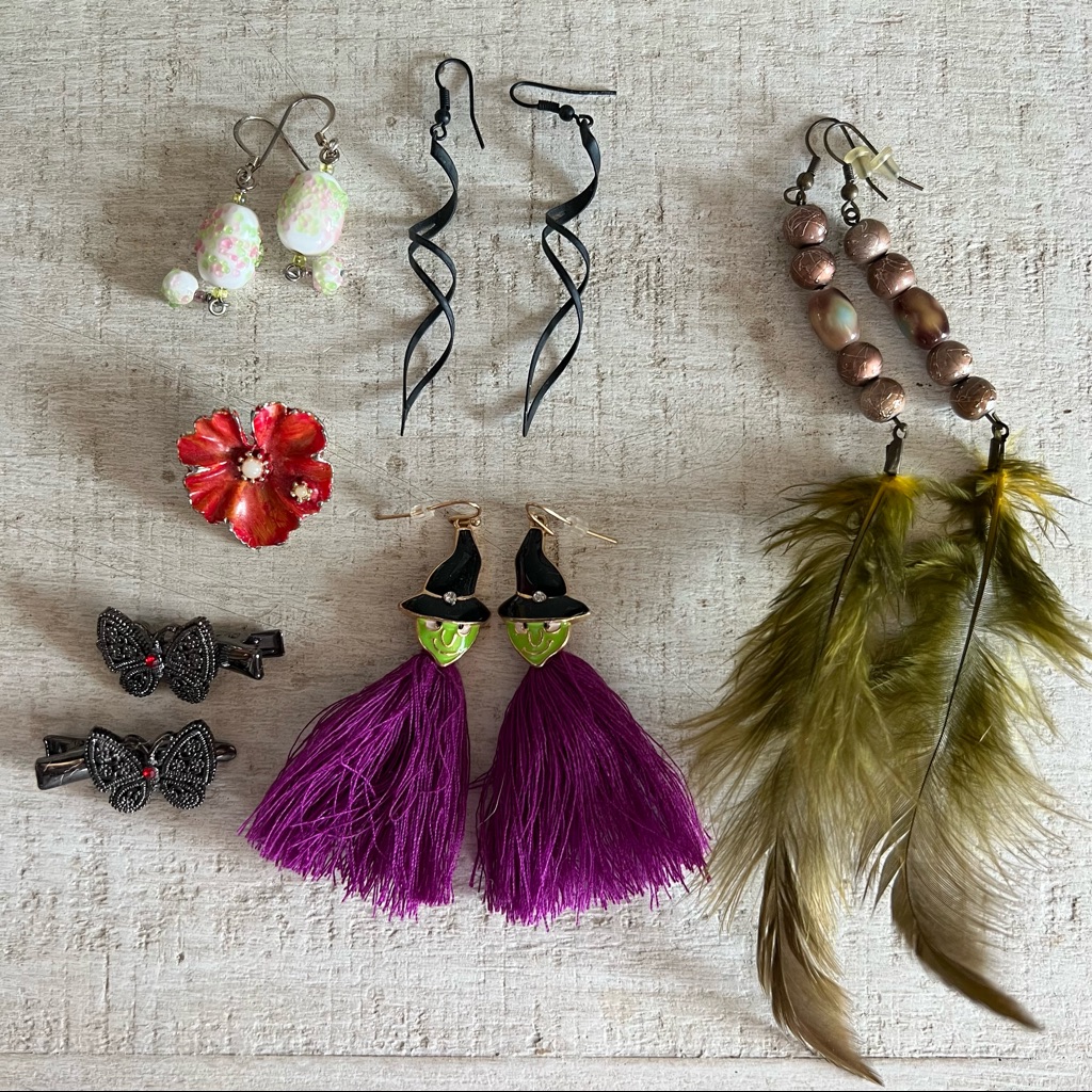 Earrings Broach & Hair Clips Bundle